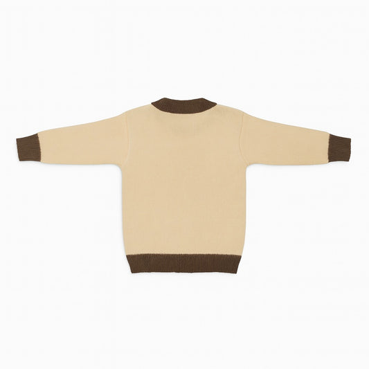Knitted Baby Sweater - Jurassic Joy