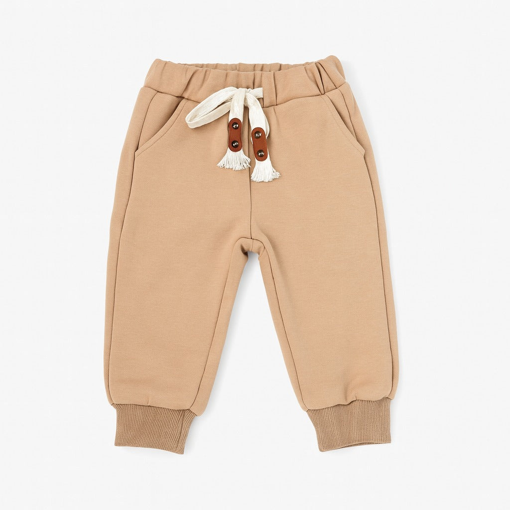 Winter Sweatshirt & Jogger Pants Co-ord Set - Honey Dinosaur
